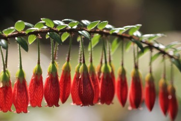 中山东区4私人快速借钱网，轻松解决资金难题