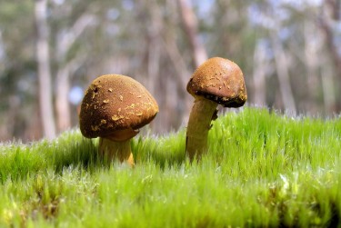 中山东区4私人老板放款：轻松融资的秘密通道